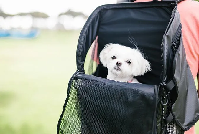 AirBuggy 3-Way Pet Back Pack Carrier