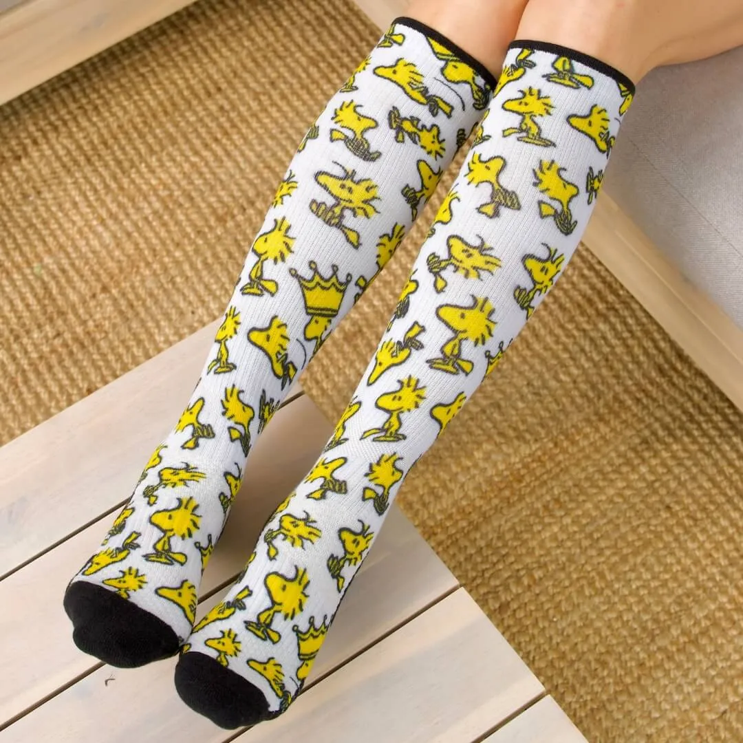 All New Patterns Compression Socks Bundle 12-Pack