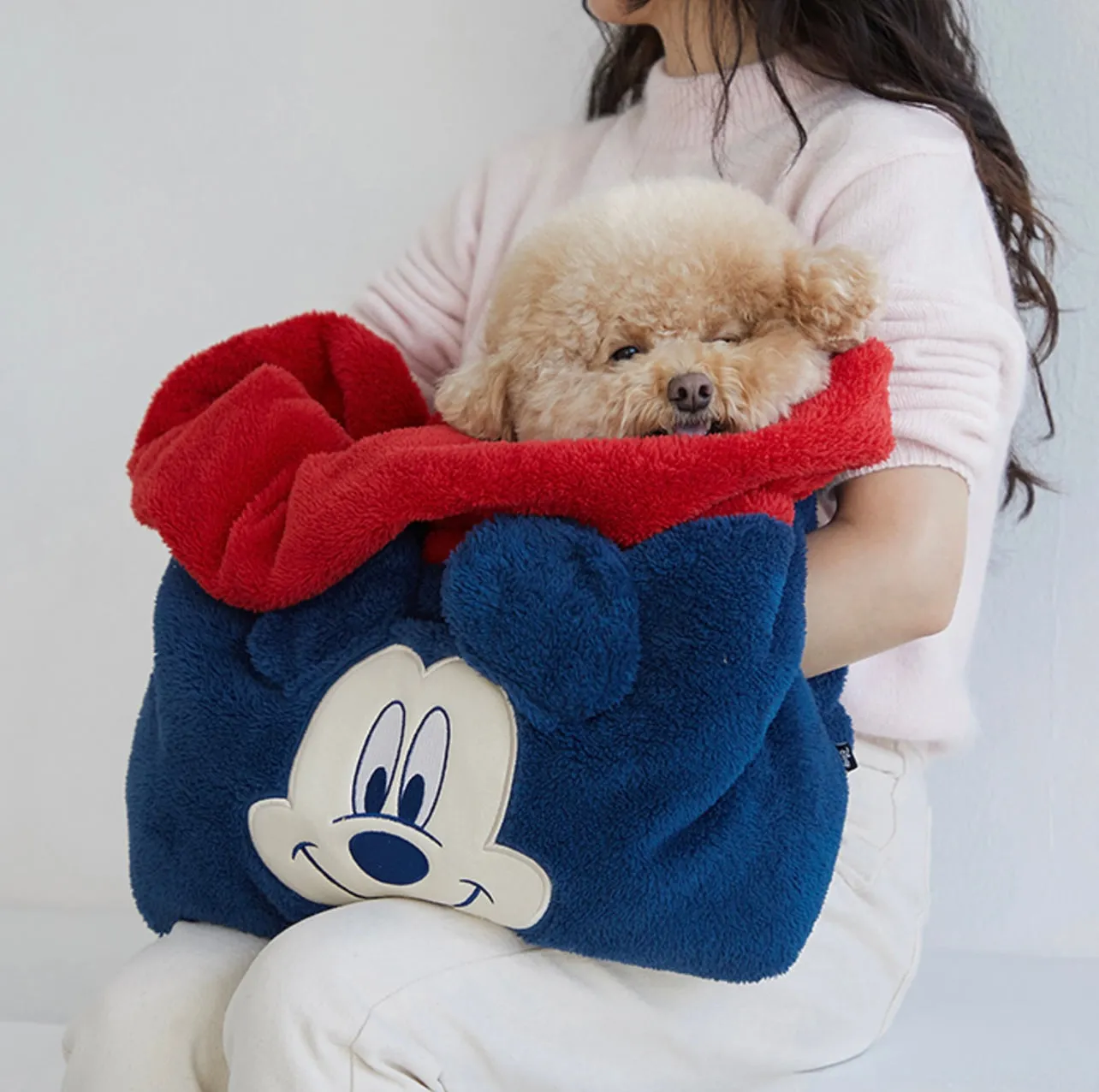 Dentists Appointment Mickey Mouse Cozy Bag for Dogs and Cats