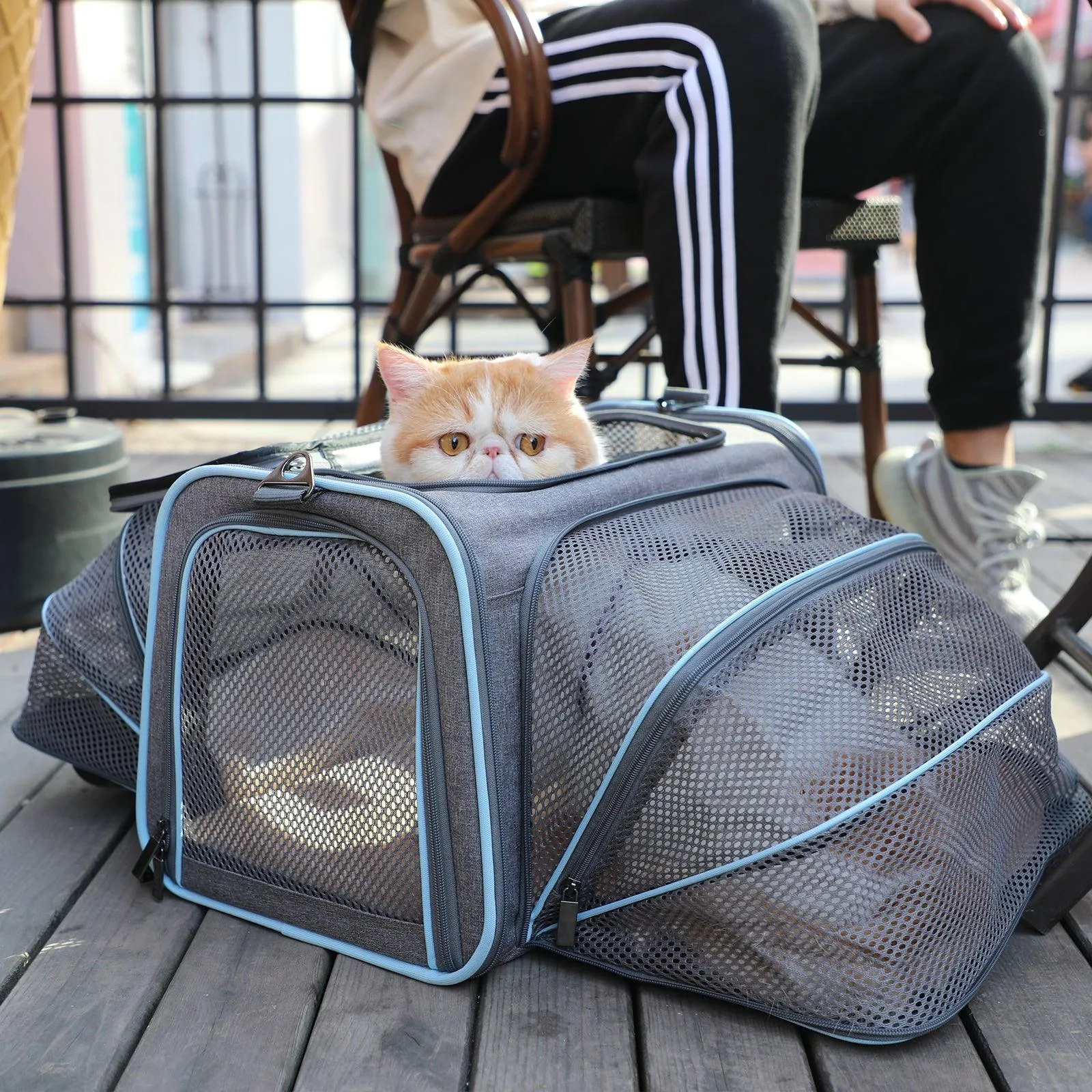 Double-Sided Expandable Soft Portable Pet Carrier with Dual Access