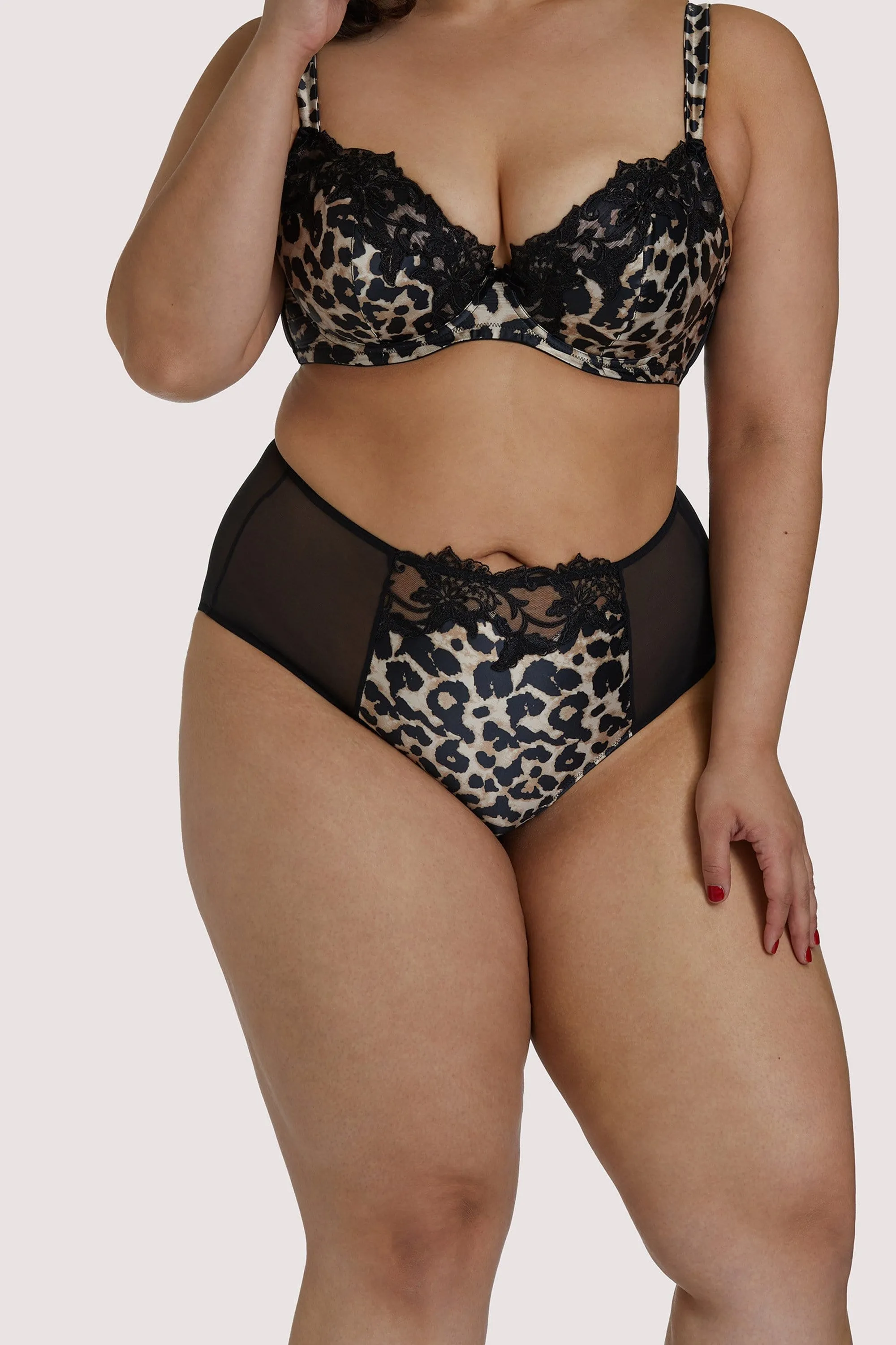 Millicent Leopard High Waist Curve Brief