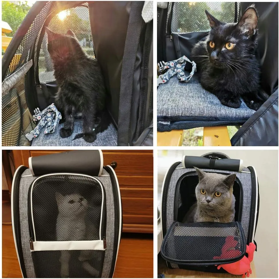 Pet Backpack Carrier for Small Cats Dogs