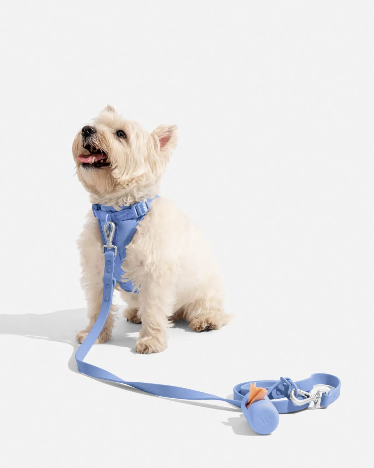 Splendid x Wild One Leash