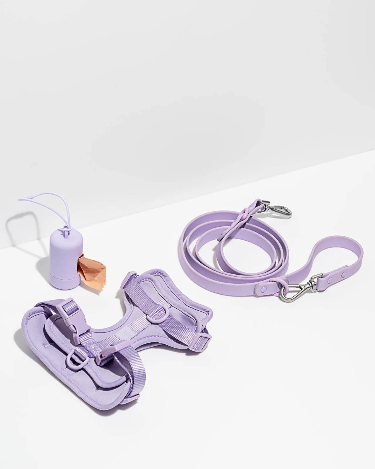 Splendid x Wild One Leash